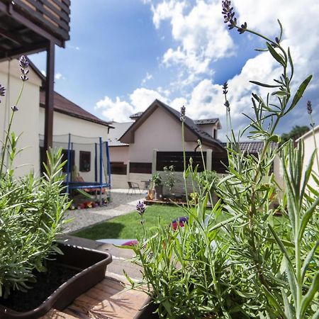 Levial Rooms Velky Slavkov Exterior foto